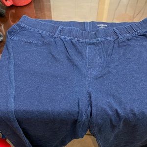 Lands’End Stretchy pants